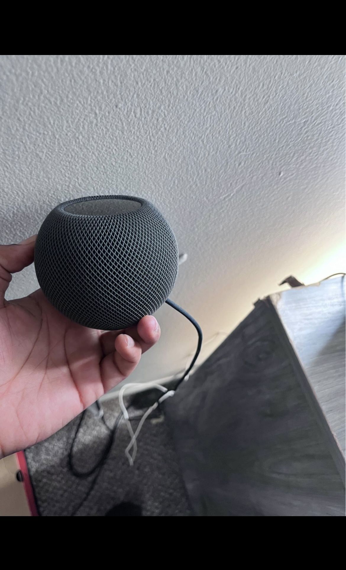 Apple Speaker