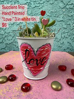 Valentine Succulent Pots