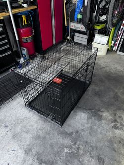 Collapsing Dog Crate