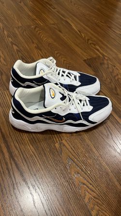 Nike Zoom Air 