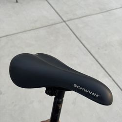 Schwinn Bike Seat 