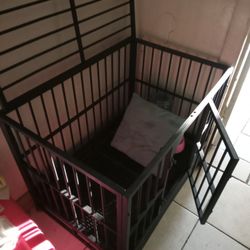 Dog Kennel