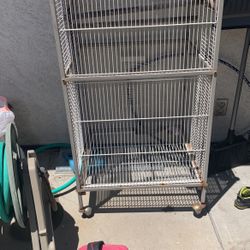 Birds Cage 