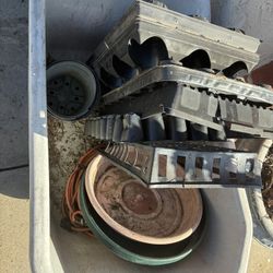 FREE – Assorted Plastic Plant Pots And Trays (Nursery Pots)