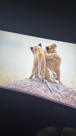 Aoc monitor  144 refresh rate 1080p