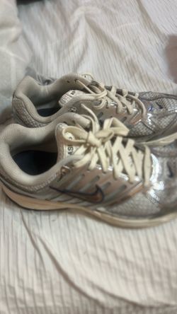 Nike pegasus shoes