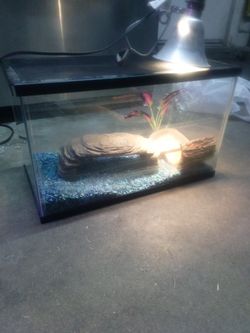 Fish Tank 21"X 12"20