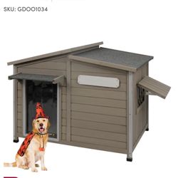 Dog House