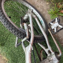 1990s Aluminum Trek Bmx Bike 