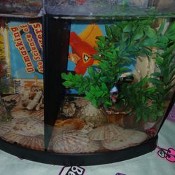 Betta Fish Tank New With Every Thing Included 