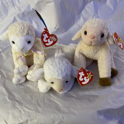 Ty Lamb Collection 