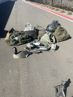 Decoys