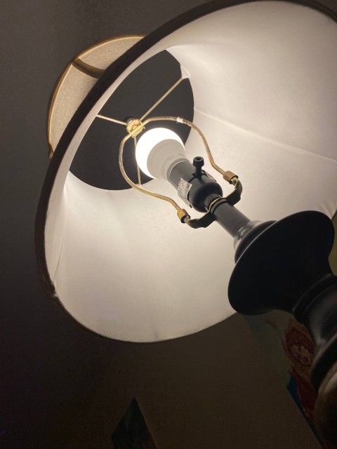 Cozy Lamp 