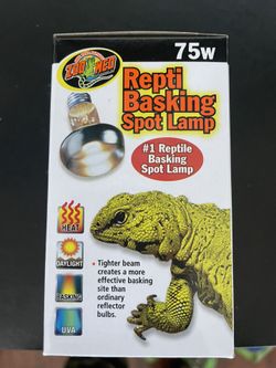 Reptile Basking Light