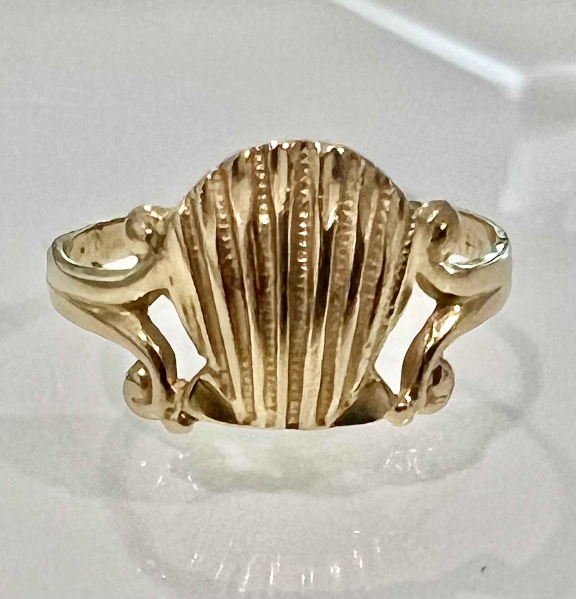 π Nautical Inspired Seashell Ring 14K Yellow Gold