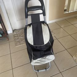 Pet bed, duffel bag on wheels, iron, pictures