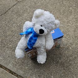 Hardwood Blocks And Whit Teddt Bear 