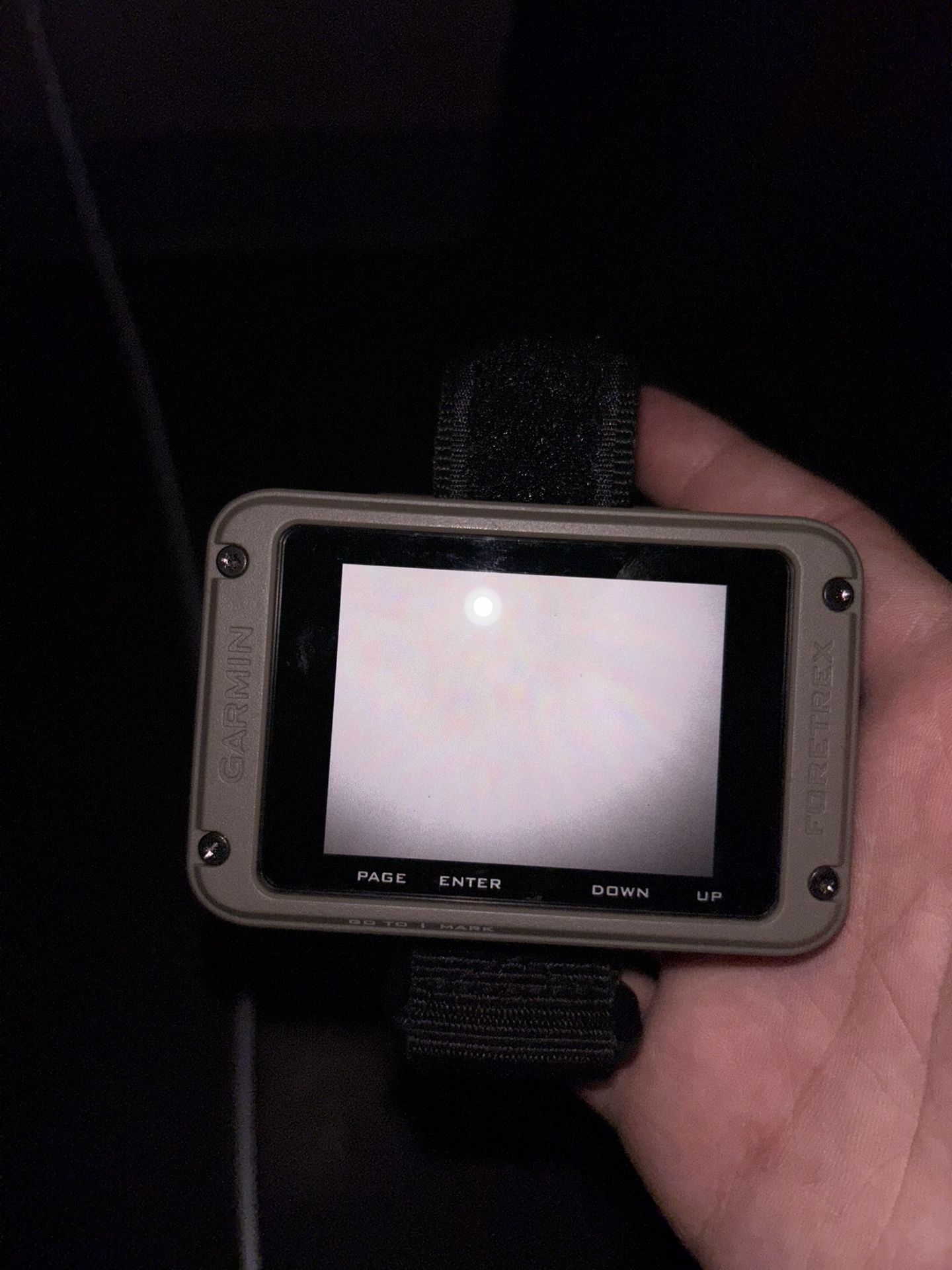 Garmin Foretex 901