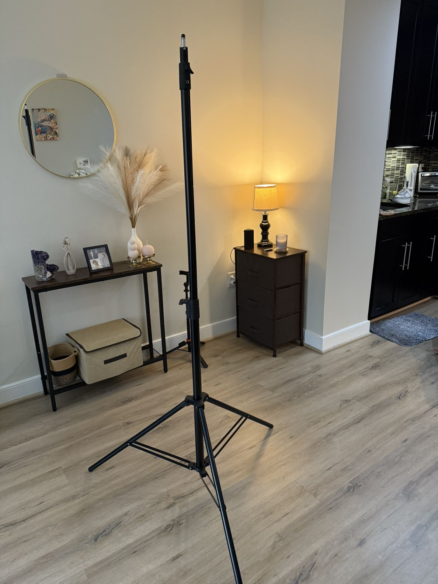 Brand New Tripod