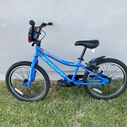 Kids Schwinn Bike 