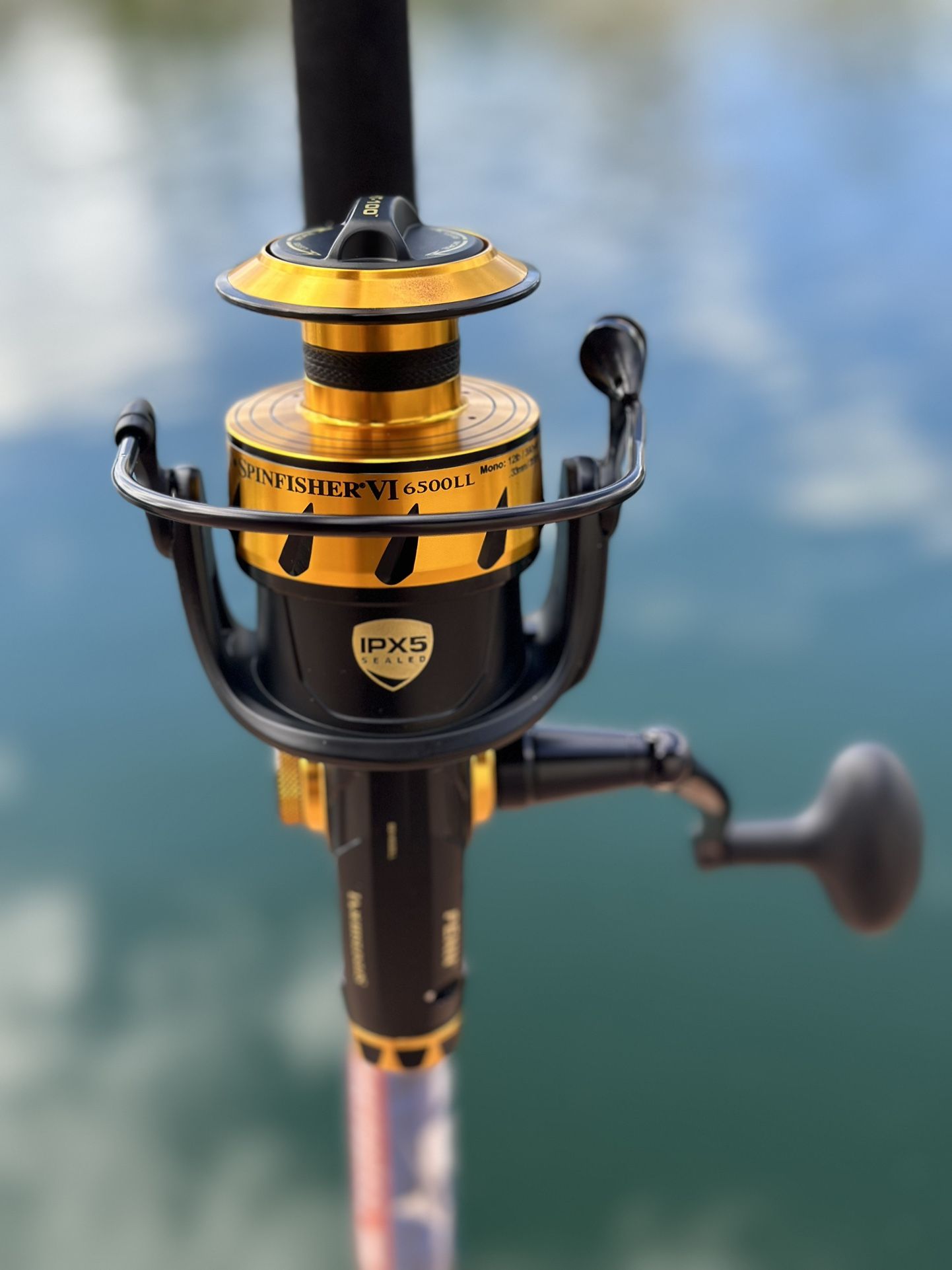 New Penn Spinfisher VI 6500LL Reel on A New Ande Tournament Saltwater 7FT 20-30LB Rod🔥