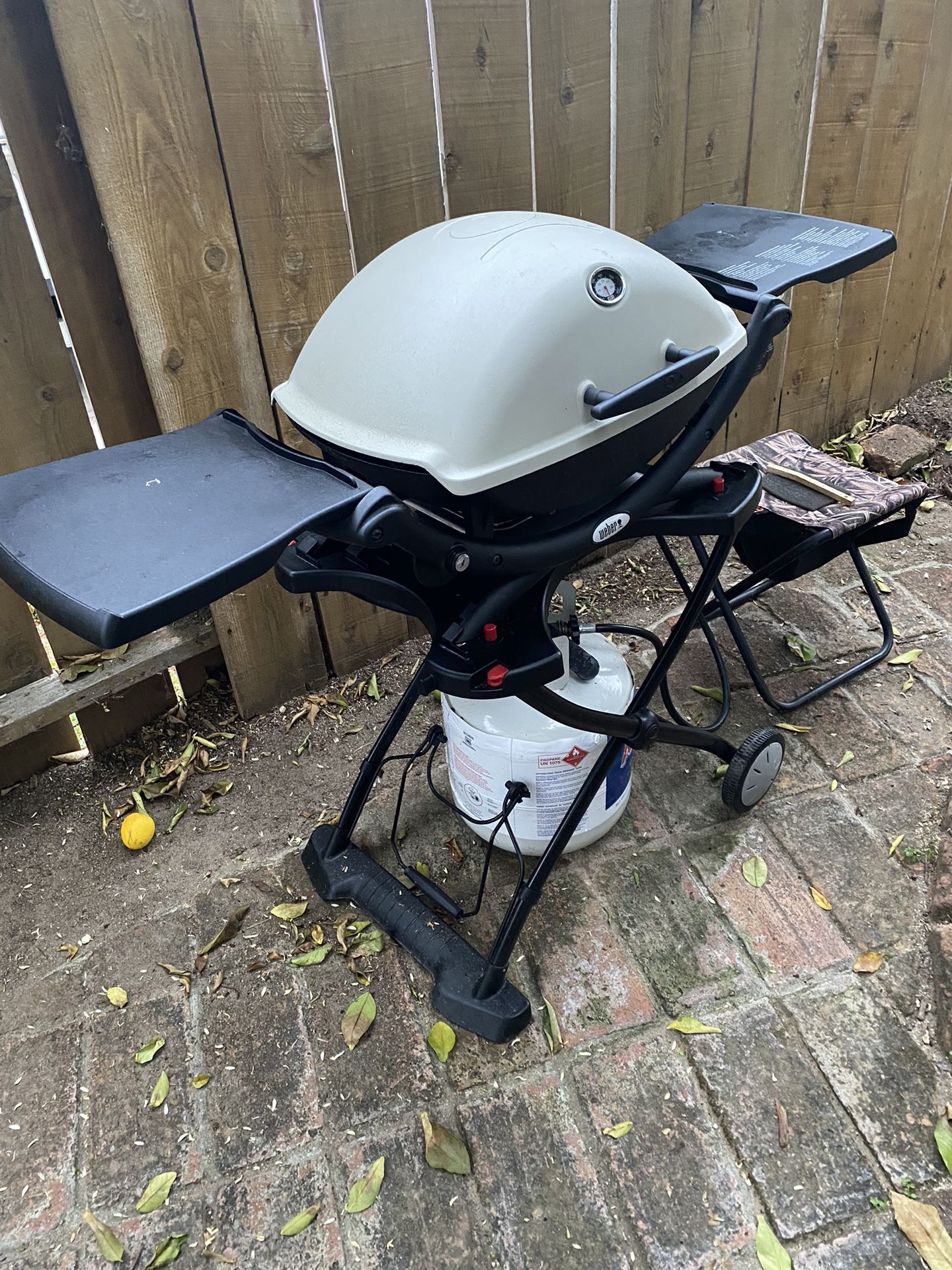 Weber Q2200 Grill