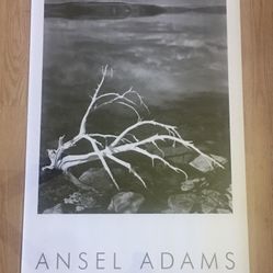 Ansel Adams - Mono Basin National Scenic Area • California - Poster Print 36 x 24