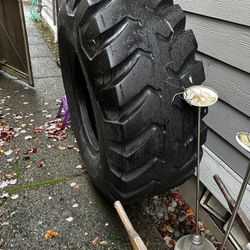 FREE!!! Pick Up Sunday And Monday 