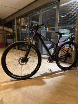 Trek Marlin 5
