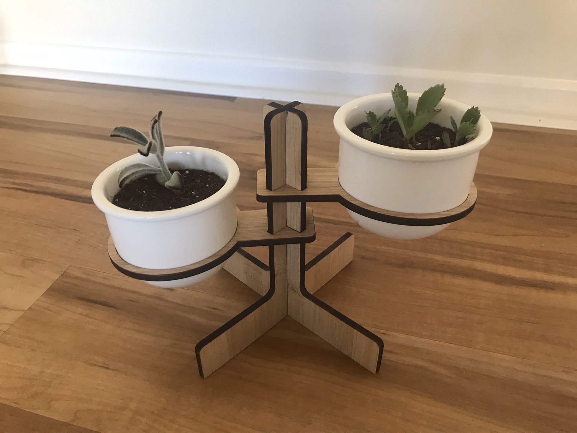 Succulent/plant bamboo stand