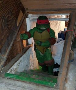 Life Size Raphael Tmnt 
