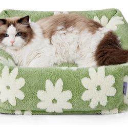 Lesure Cute Dog Bed for Small Dogs & Cats- Washable Puppy Beds,Cozy Rectangle Orthopedic