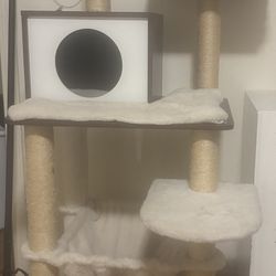 cat tree