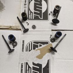 Used OEM (Yamaha) Raptor 700 Valves and more for sale