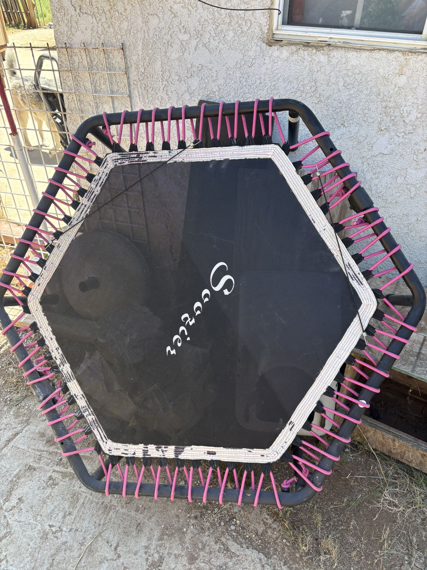 exercise trampoline