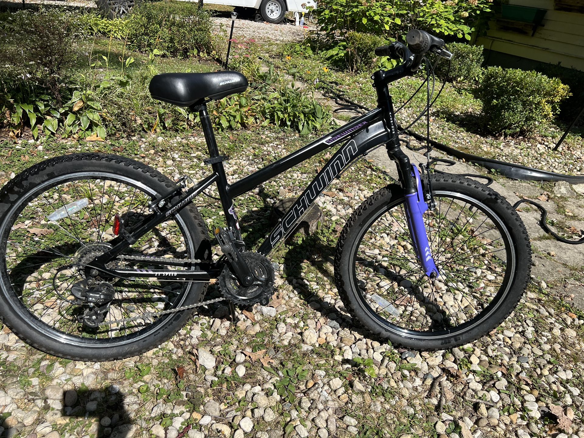 24” Schwinn Bike