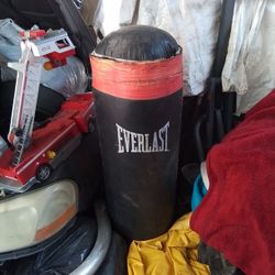 4ft Everest Punching Bag 