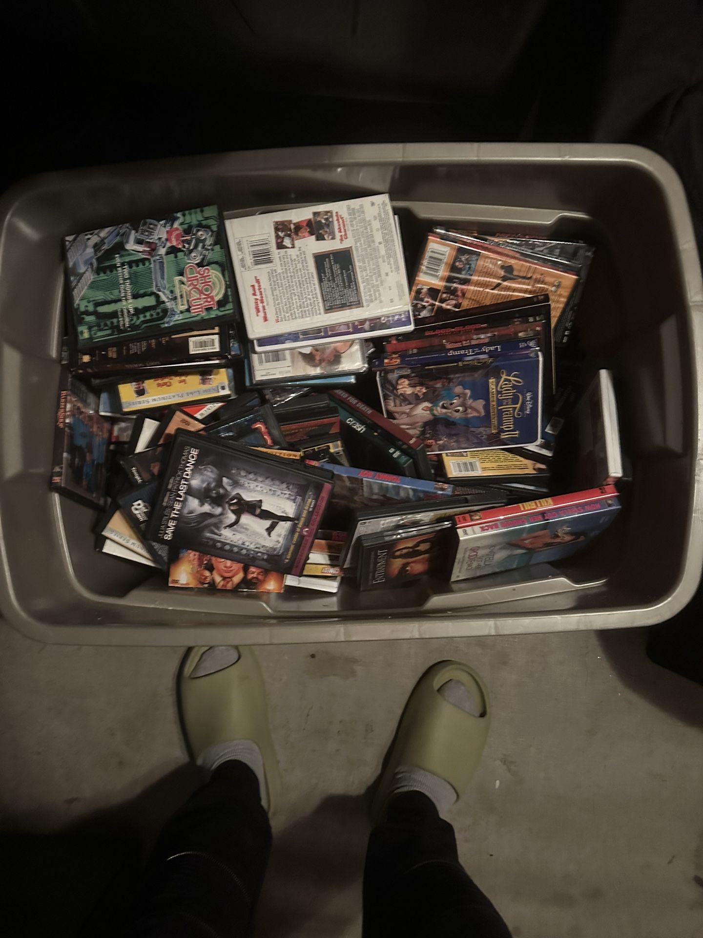 DVD Movie Collection