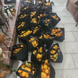 Oranges Organic Homegrown 