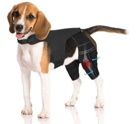Medium Dog Knee Brace for Torn ACL Hind Leg