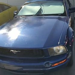 2007 ford mustang