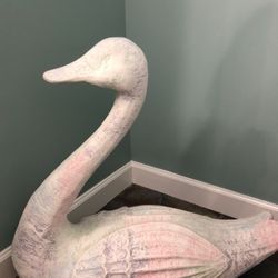 Swan