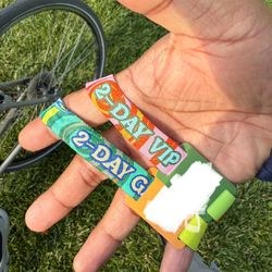Beyond Wonderland 2025 2-day VIP & GA Wristband-$1