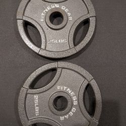 25 LB + 25 LB Weight Plates 