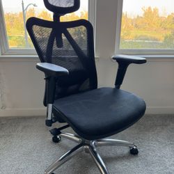 Ergonomic Office Chair