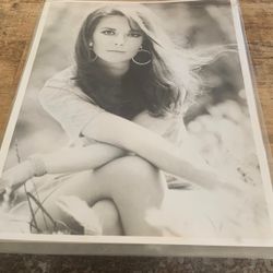 Natalie Wood Hollywood Shots
