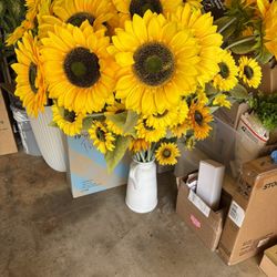 Long Large Sunflowers In Heavy Porcelain Pot