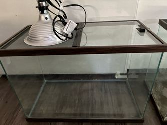 Reptile cage