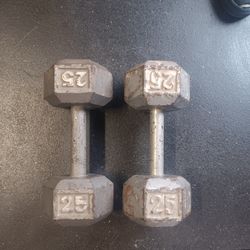 25 pound dumbell pair