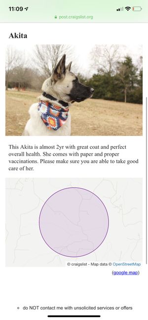 New And Used Pet Supplies For Sale In Fayetteville Ar Offerup